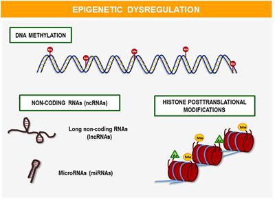 Obesity-Related Epigenetic Changes After Bariatric Surgery